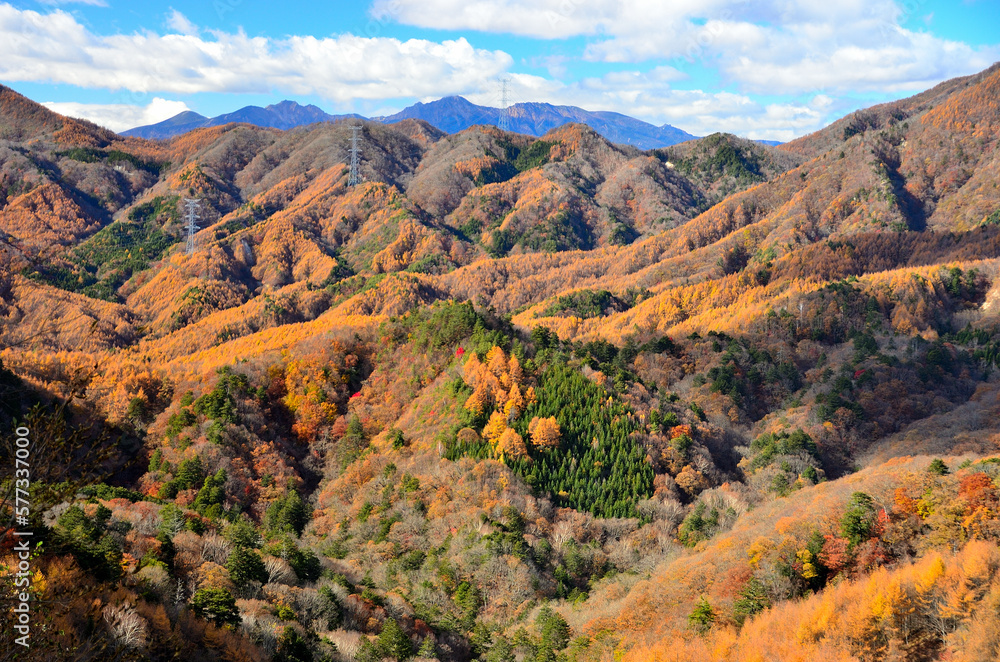 Naklejka premium 色付く山々
