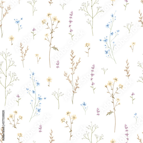 Seamless floral pattern with meadow dried flowers isolated on white background. Watercolor hand drawn illustration sketch