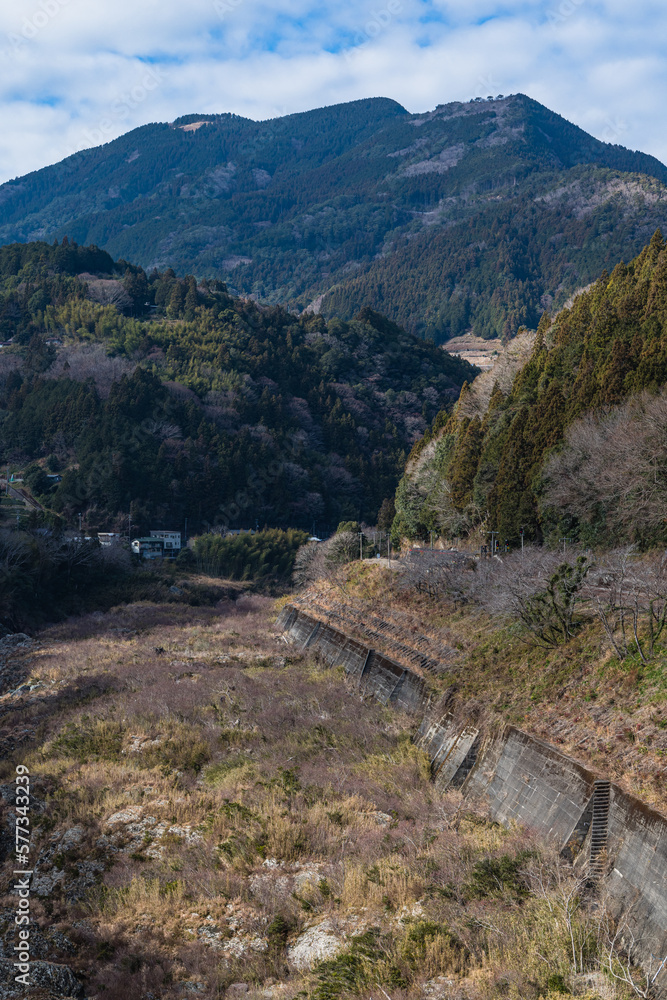 日本 徳島県三好市を流れる吉野川と大歩危 日本 徳島県三好市を流れる吉野川と大歩危