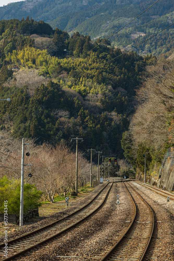 日本　徳島県三好市を流れる吉野川沿いにある大歩危駅の線路