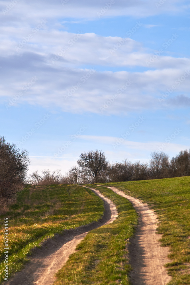 Dirt rural road winding across countryside highlands at the border of an agricultural field under blue sky and clouds