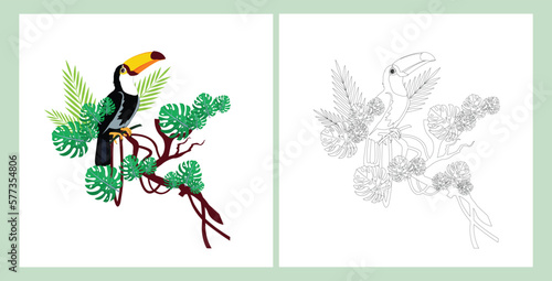 A set of two images of a toucan on a liana branch - color and monochrome versions. Vector coloring page for adults and older children.