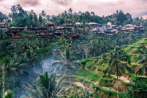 Tegallalang rice terraces in Ubud on the island of Bali in Indonesia. Picturesque cascading rice fields with palm trees in the background. Nature, sights of Bali