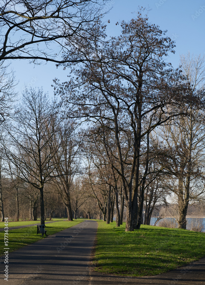 Weg am Rhein in den Rheinauen Bonn.
Weg am Rhein in den Rheinauen Bonn.