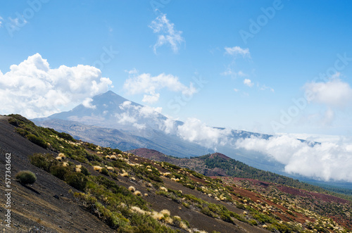 Volcanic landscape with mountain vegetation, Mount Teide in the backgroung. Teide National Park, Tenerife, Canary Islands, Spain.