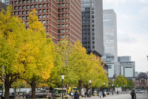 皇居から東京駅に通じる秋の大通り