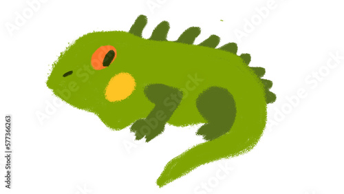 Cute  funny iguana.
