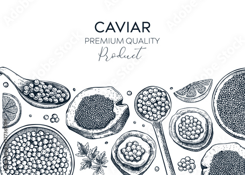 Seafood background design with red caviar canape, canned black caviar, lemons in sketched style. Sea delicacy banner template for restaurant menu or finger food party. Hand drawn tinned fish sketches