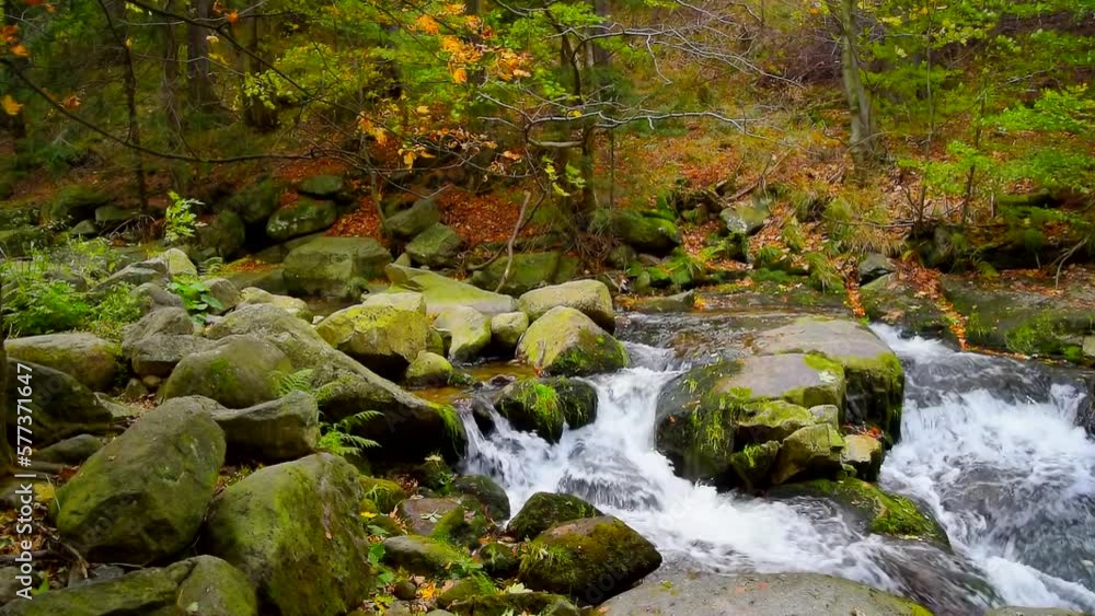 Mountain river with rocks in the forest, real time, zoom in, hd. ProRes 422 HQ. Mountain river with rocks in the forest, real time, zoom in, hd. ProRes 422 HQ.