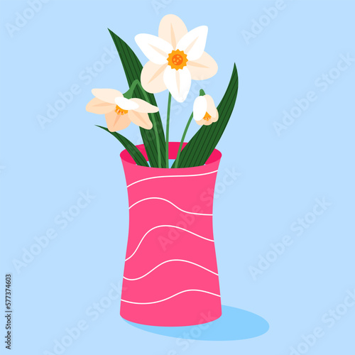 White daffodils with leaves in a pink vase. Spring flowers on a blue background. © v.iraa