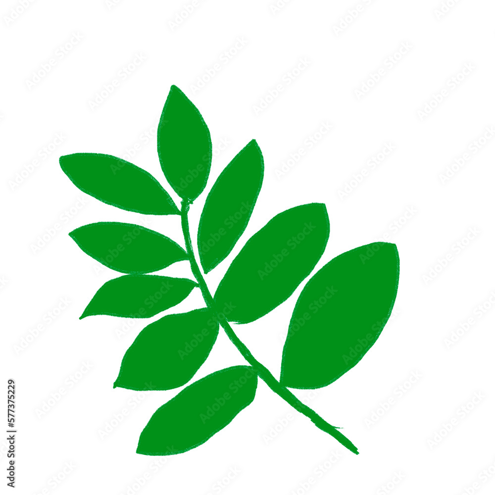 Naklejka premium abstract floral design leaf outline isolated item decoration