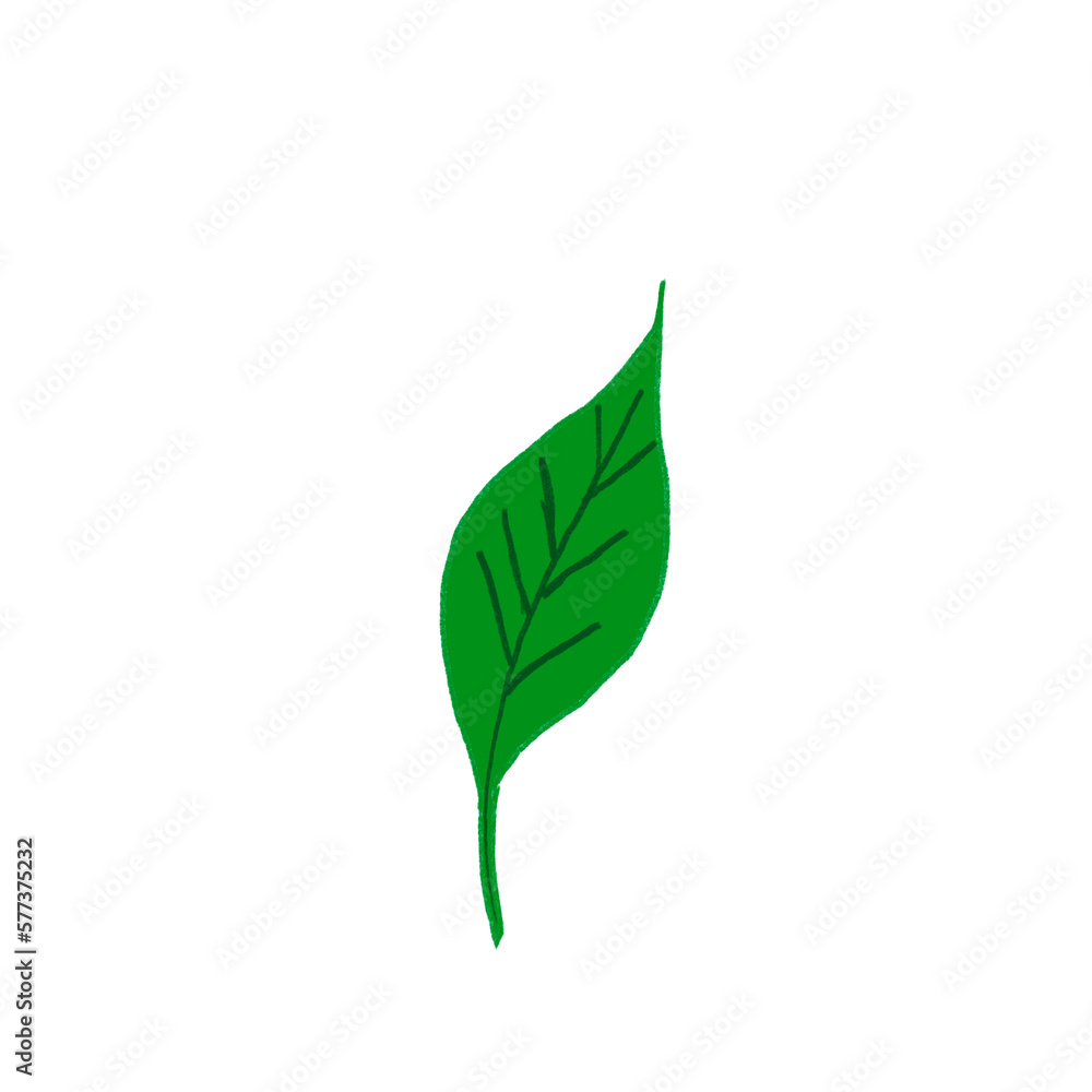 abstract floral design leaf outline isolated item decoration abstract floral design leaf outline isolated item decoration