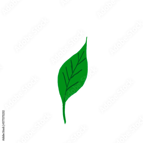 abstract floral design leaf outline isolated item decoration