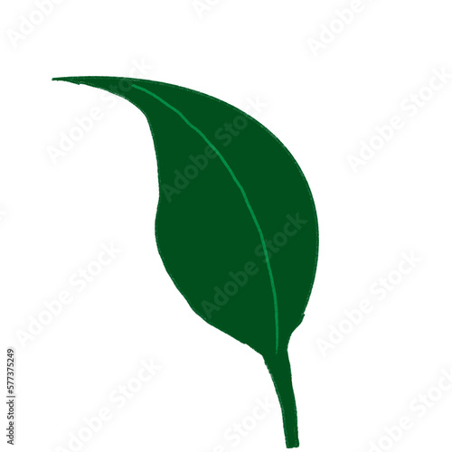 abstract floral design leaf outline isolated item decoration