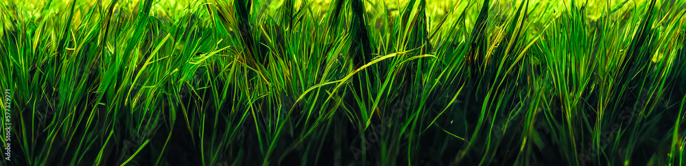 Naklejka premium Abstract grass, nature background, generative ai