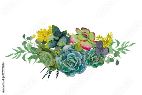 Fototapeta Naklejka Na Ścianę i Meble -  A collection of stylish watercolor succulents.Watercolor Set of succulents