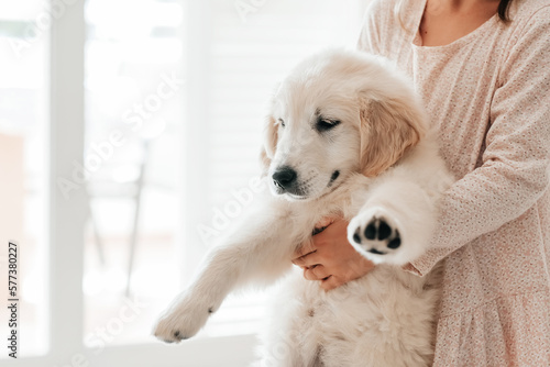 Fototapeta Naklejka Na Ścianę i Meble -  child girl play hugging dog puppy golden retriever, pet therapy and canisterapy for adults and children. animal canis assisted therapy kids emotion mental health friends love tightly cuddle copy space