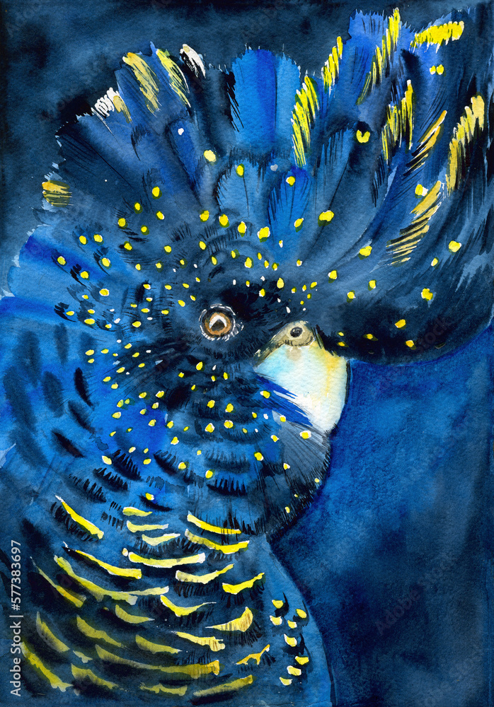 Watercolor illustration of a parrot red tailed black cockatoo with