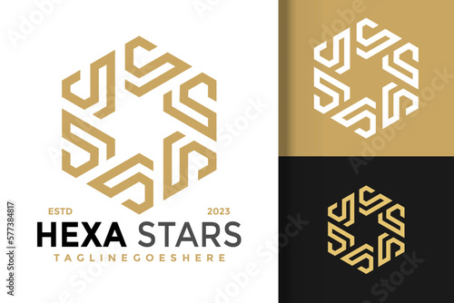 Luxury letter S hexagon star logo vector icon illustration