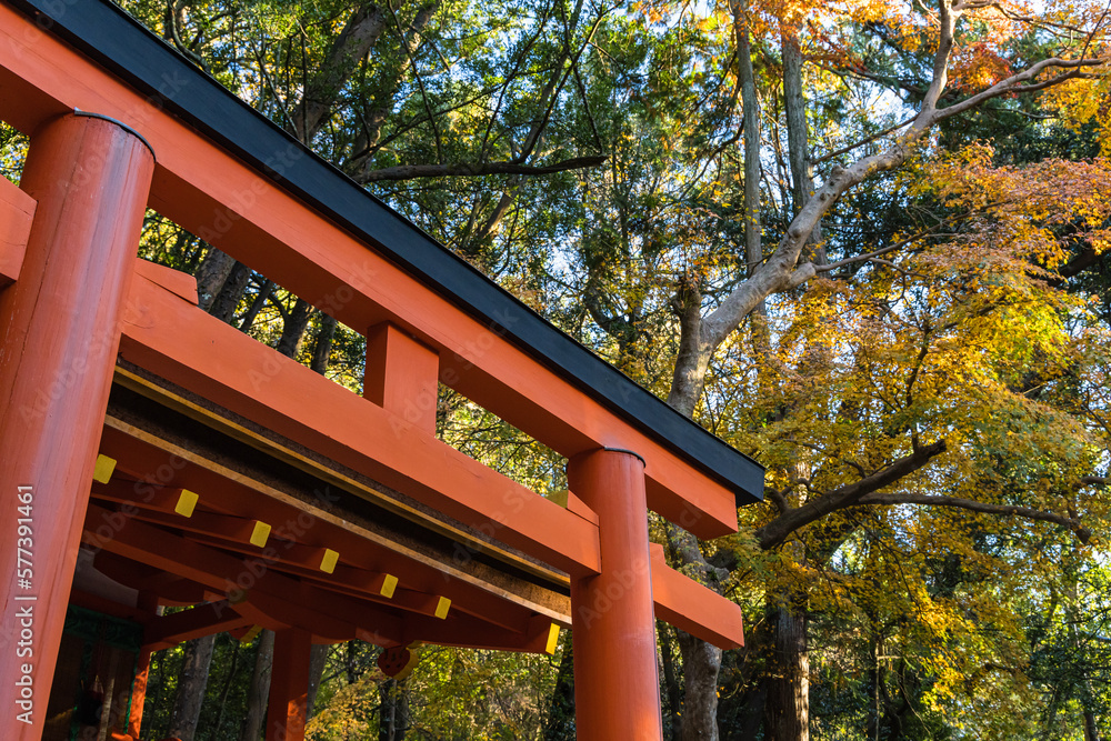 日本　奈良県奈良市の奈良公園内にある春日大社の若宮神社