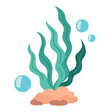seaweed sealife plant
