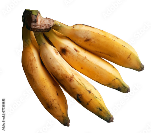 Bunch of yellow ripe small poovan Indian Kerala bananas, elaichi banana photo