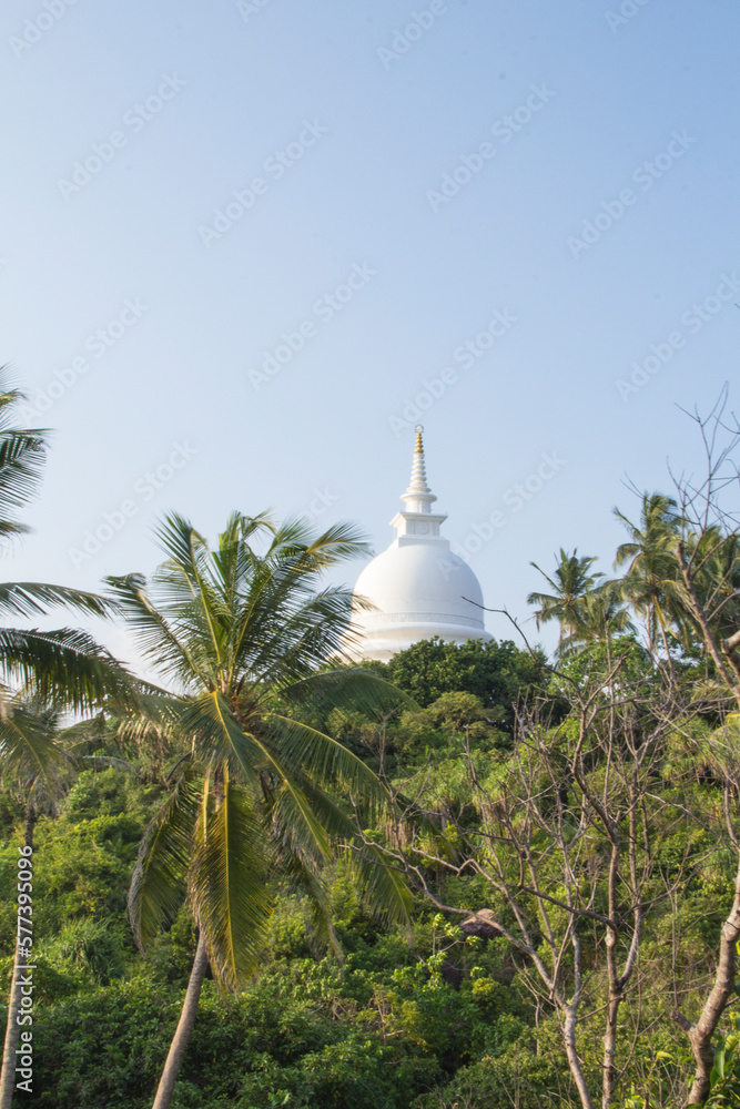 Beautiful view of Buddha Temple in Sri Lanka