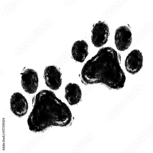 Dog paw foot print illustration, isolated
