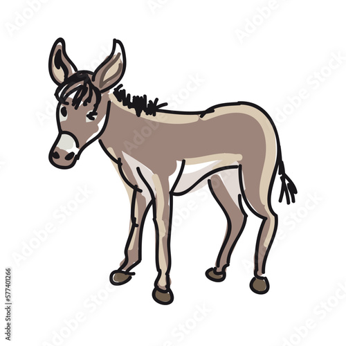 baby donkey vector illustration