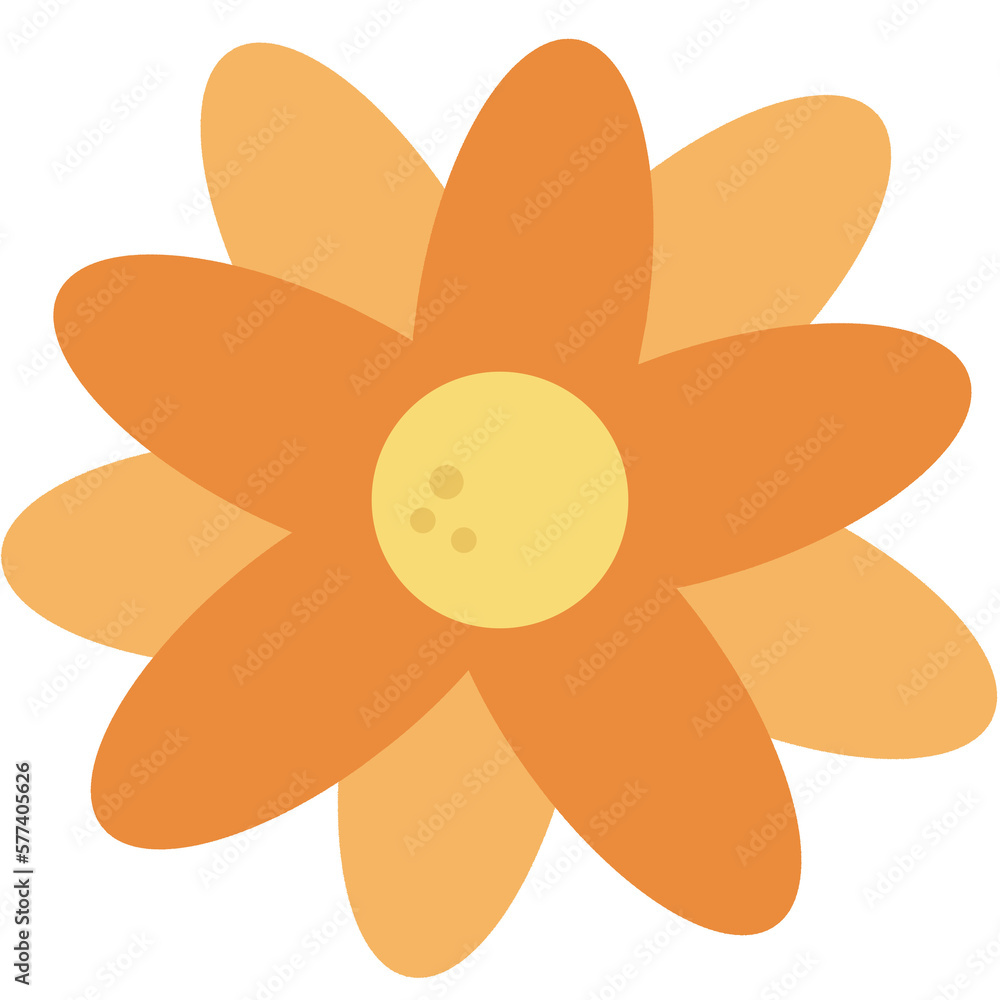 flower isolated on white background flower isolated on white background