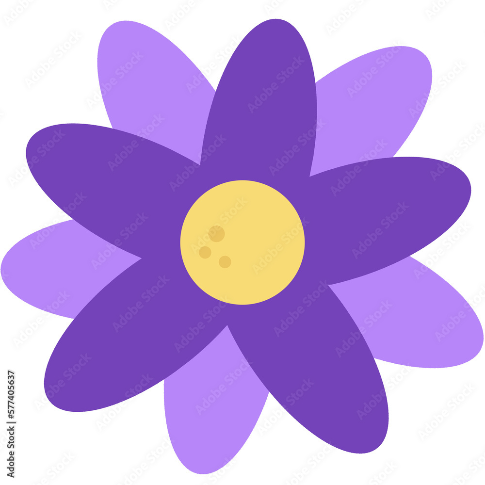 flower isolated on white background