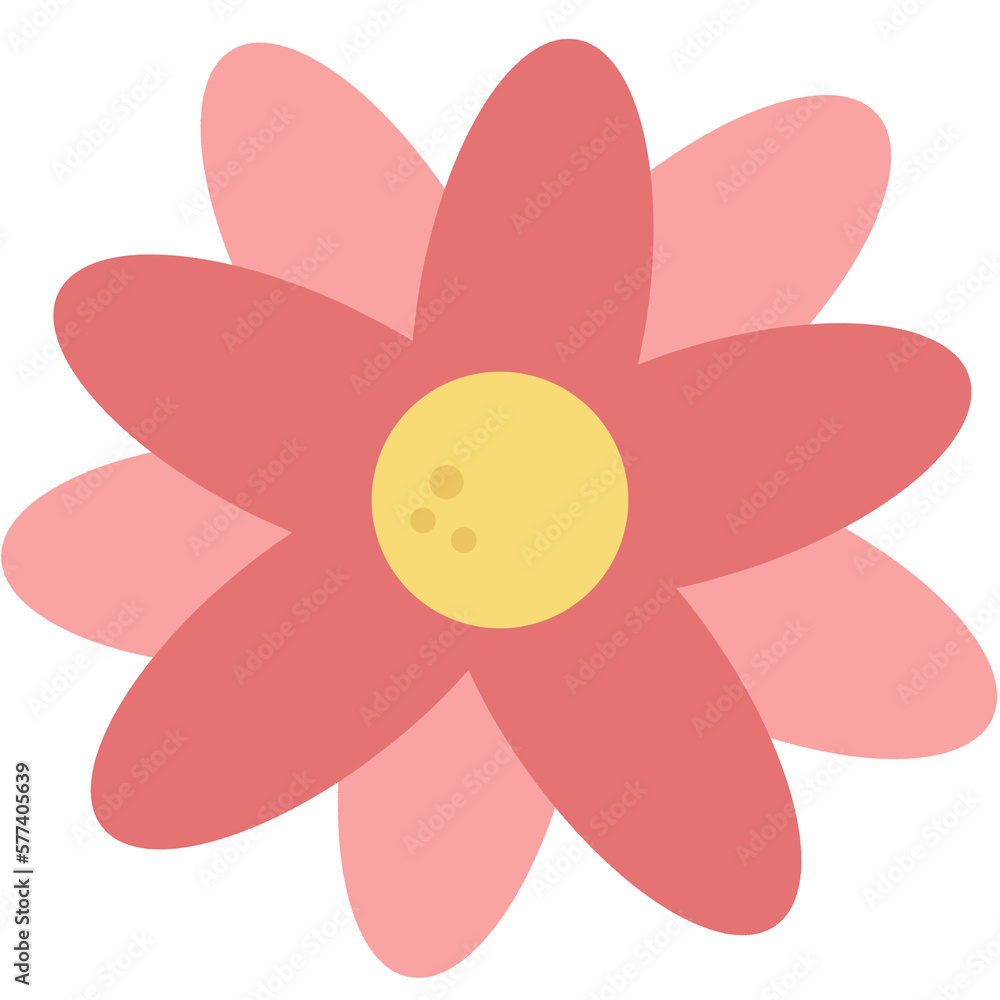 flower isolated on white background flower isolated on white background