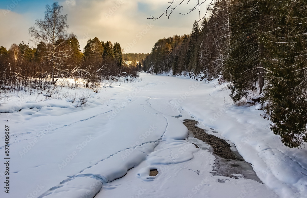 Winter landscape with trees on the bank of a snow-covered river with open water against a cloudy sky Winter landscape with trees on the bank of a snow-covered river with open water against a cloudy sky