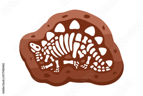 Stegosaurus fossils skeleton. Stegosaurus fossil bones. Dinosaur skeleton. Dinosaur bones with skull. Paleontology and archeology.