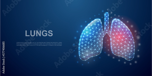 Lungs 3d low poly symbol with pain center for landing page template. Lungs pain, respiratory system design concept. Polygonal organ illustration