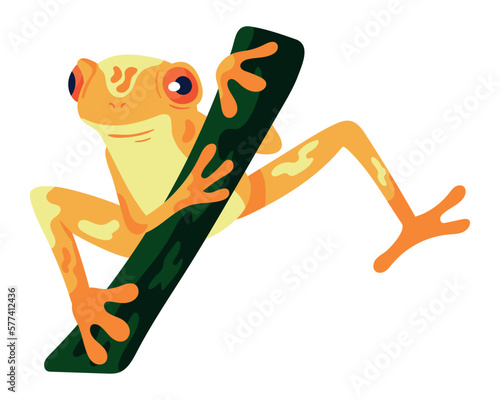 frog in branch animal