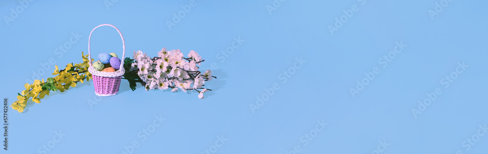 Easter eggs in basket and spring tree branches on bkue gray background. Minimal horizontal composition, banner with copy space, spring and Easter decoration concept