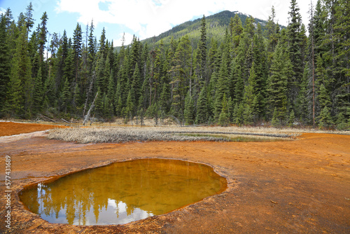 Landscape with Paint Pots - Kootenay National Park, Canada photo