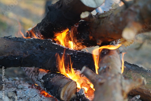Fire in the fireplace