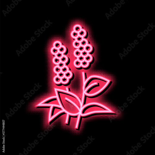 patchouli flowers aromatherapy neon glow icon illustration