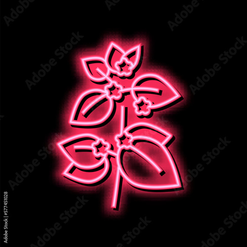 melissa herbal aromatherapy neon glow icon illustration