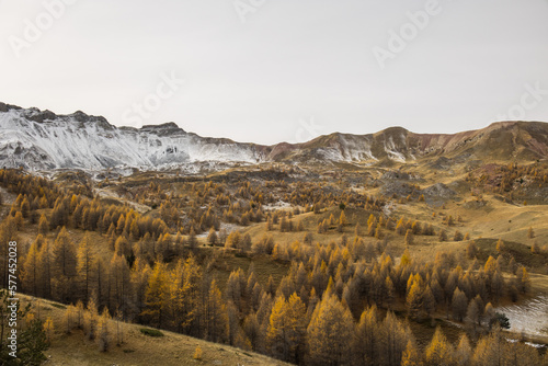 Snowy range with autumn colors