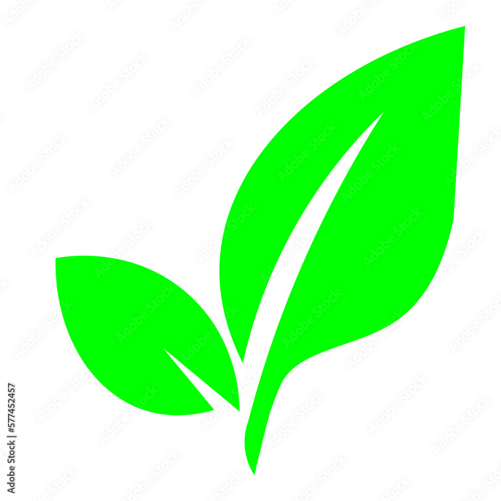Leaf Element
Leaf Element