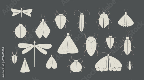 Set of vector isolated grunge insects illustrations at dark background. Silhouette of butterfly, ant, moth, bug, cockroach, ladybug, dragonfly, scarab