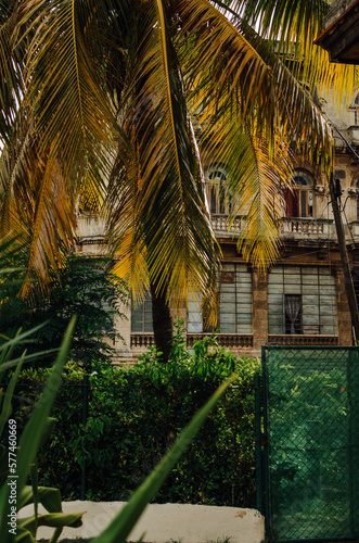 Photography linea, vedado, havana, cuba - 2019