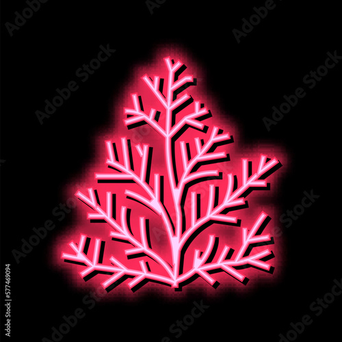 cedar plant aromatherapy neon glow icon illustration