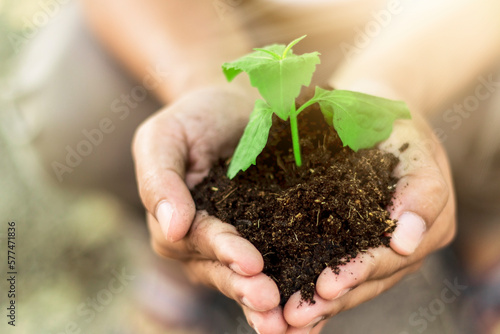 hand touching planting small plants with soil environmental science with new future technology business planning development and conservation protection