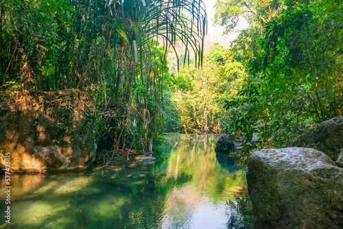 River in tropical rainforest landscape with stream and sunrays