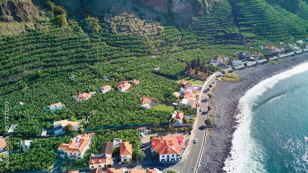 Madalena do Mar Banana Plantations