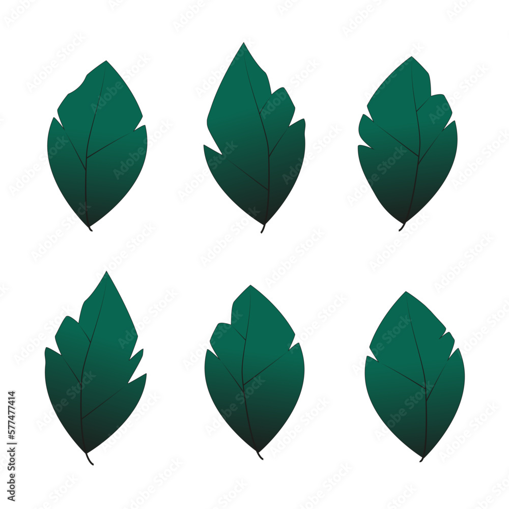 Obraz premium Set Gradient green Leaf. Asset for stamp, flourish design, pattern, cards, montage or collage. Vector botanical illustration